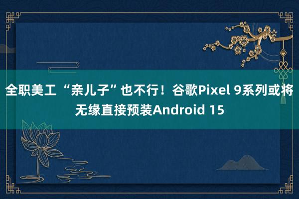 全职美工 “亲儿子”也不行！谷歌Pixel 9系列或将无缘直接预装Android 15